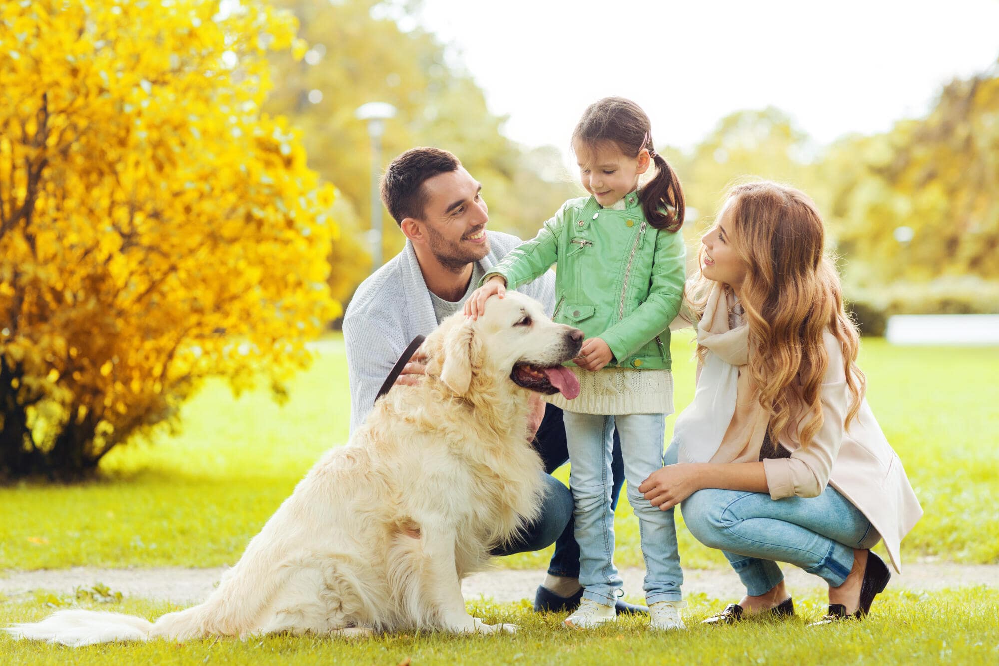 Pros and Cons of Allowing Pets in Your Richmond, VA, Rental Property